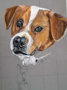 pet portraits, art classes merseyside, near me, beginners art classes, learn to draw, and paint,
